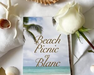 Beach Picnic En Blanc