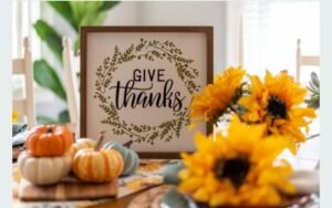 Shields Era Lifestyle -