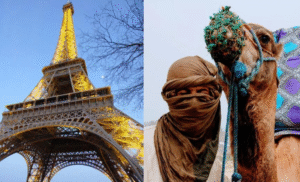 Shields-Era-Travel-Group-trips
